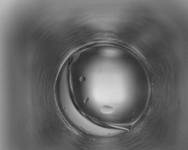 X0000060580891200511071042