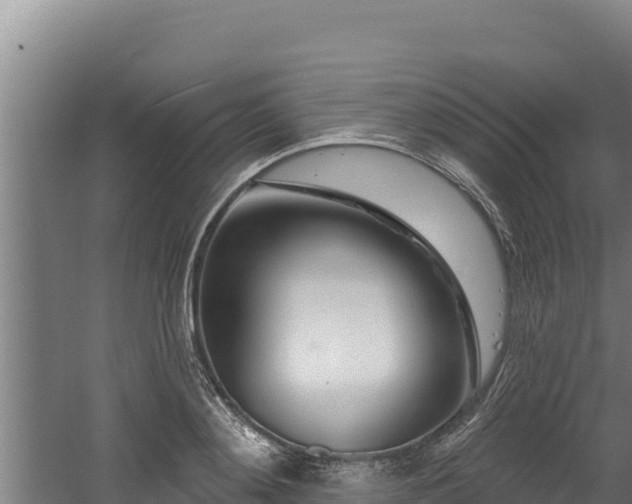 X0000060580892200511071042