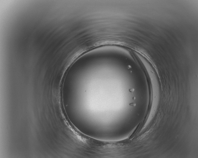 X0000060580898200511071042