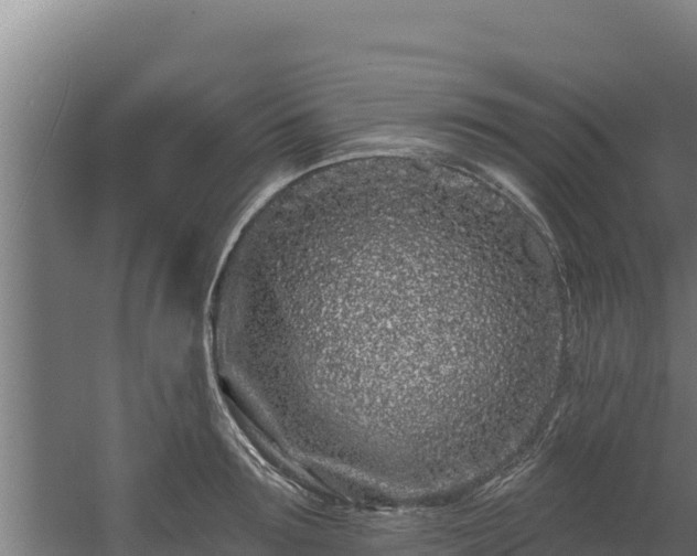 X0000060580899200511071042