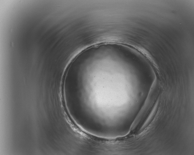 X0000060580904200511071042