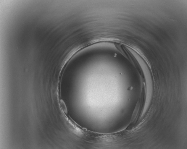 X0000060580906200511071042