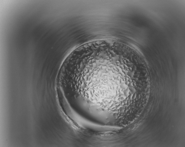 X0000060580907200511071042