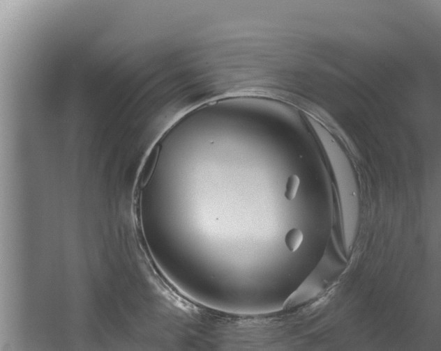 X0000060580908200511071042