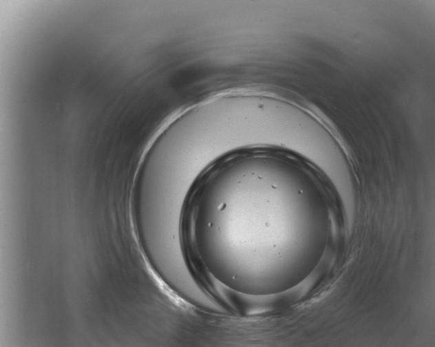 X0000060580909200511071042