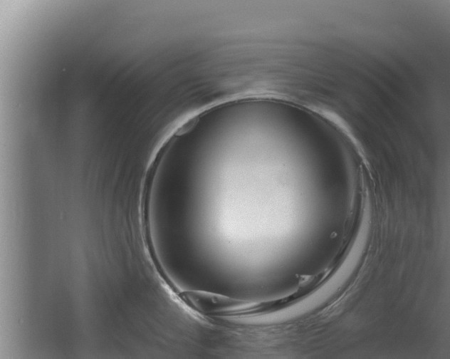 X0000060580910200511071042