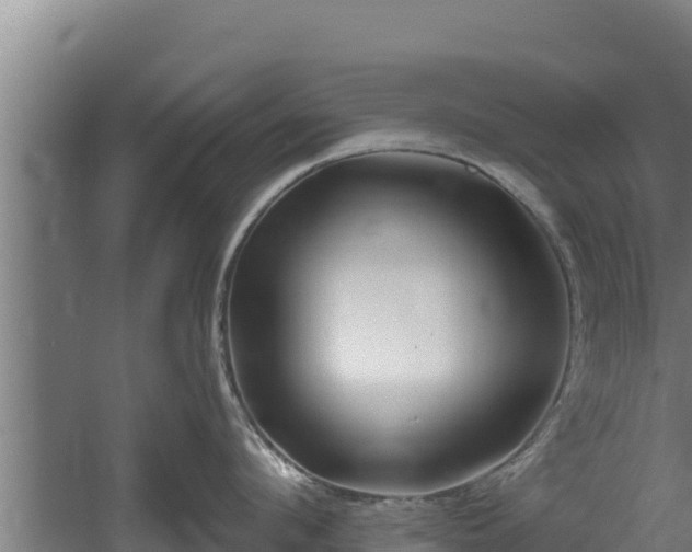 X0000060580912200511071042