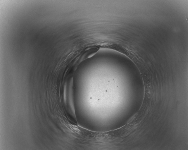 X0000060580916200511071041