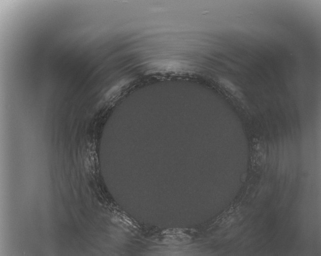 X0000060580918200511071041