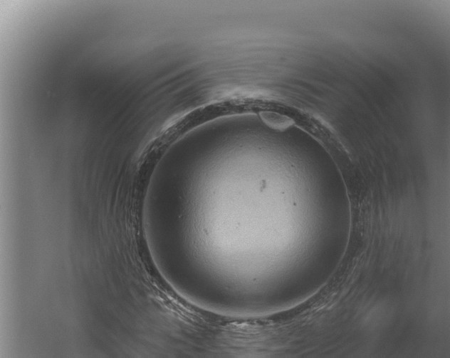 X0000060580919200511071041