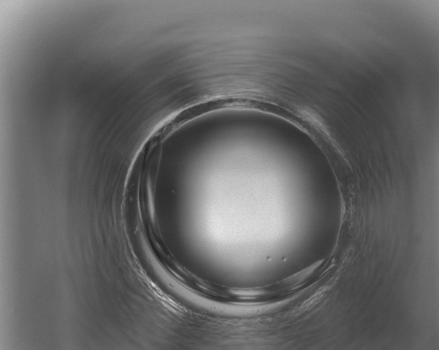 X0000060580924200511071041