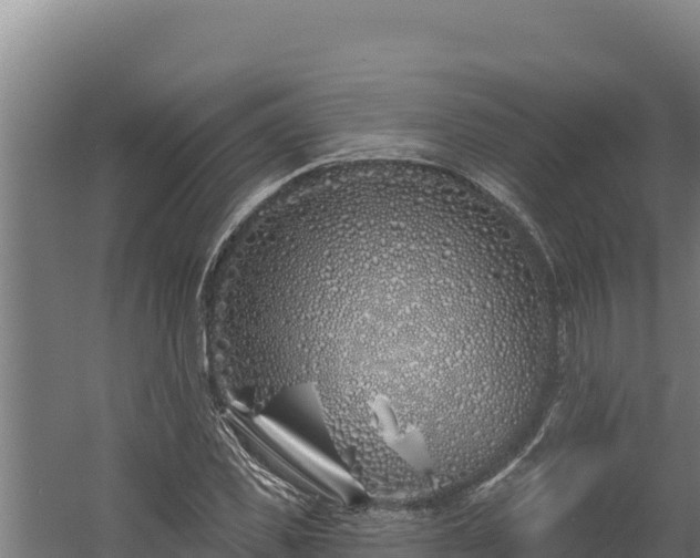 X0000060580925200511071041