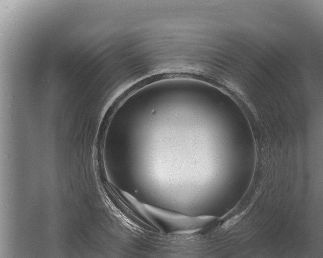 X0000060580928200511071041