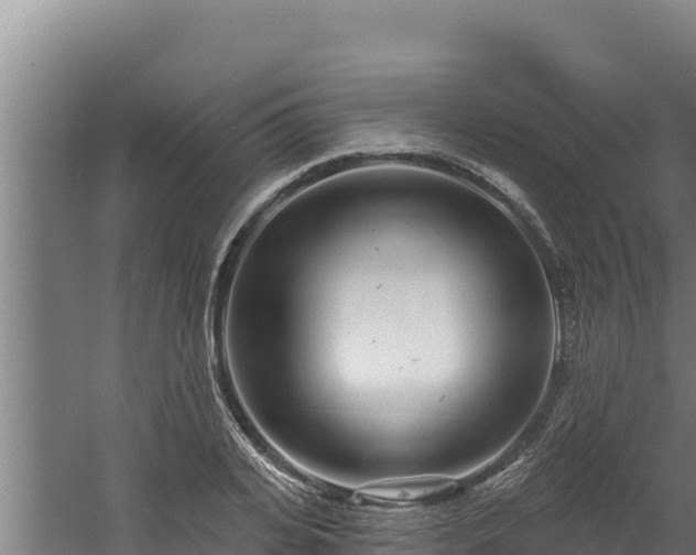 X0000060580935200511071041