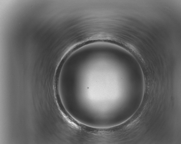 X0000060580942200511071042