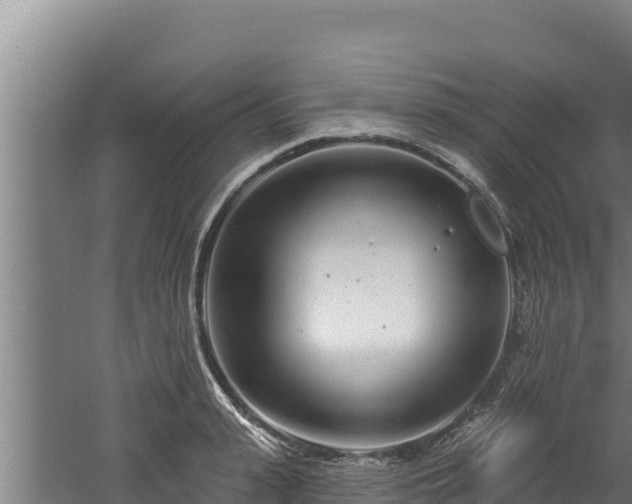 X0000060580943200511071042