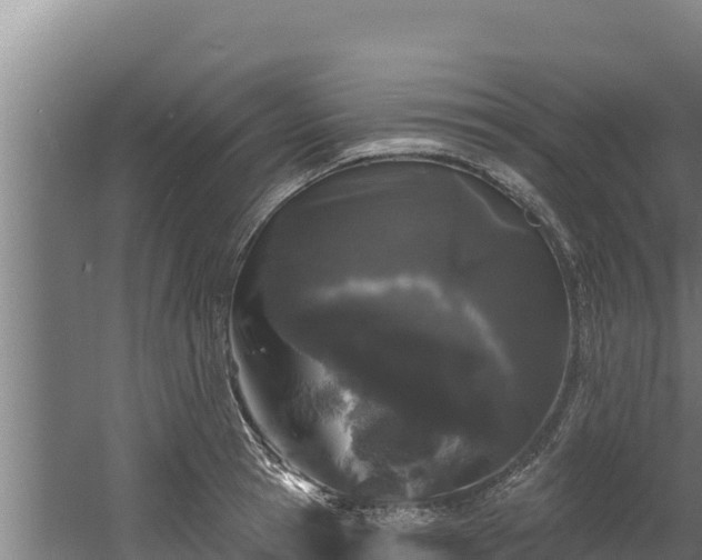 X0000060580945200511071042