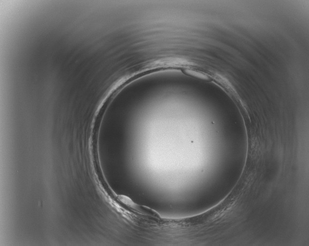 X0000060580947200511071042