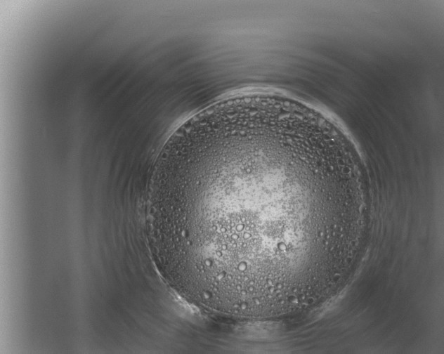 X0000060580953200511071042