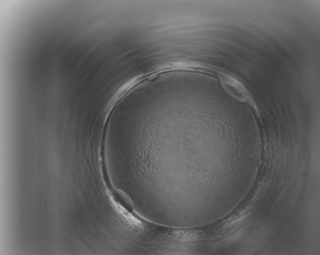 X0000060580954200511071042