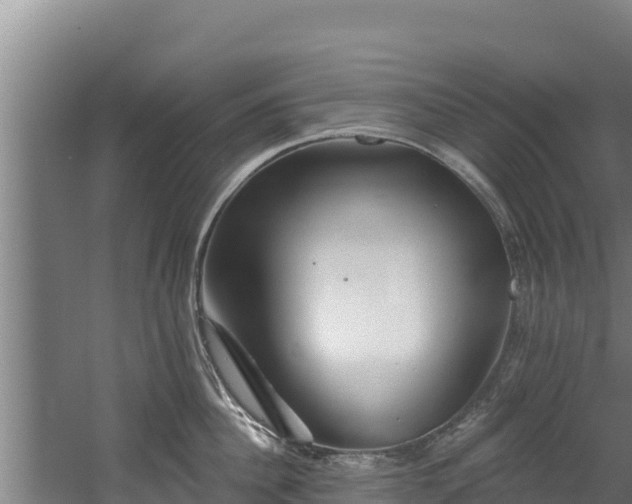 X0000060580956200511071042