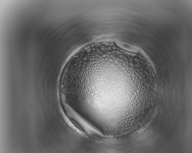 X0000060580957200511071042