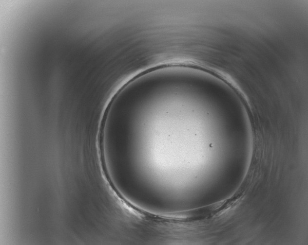 X0000060580959200511071042