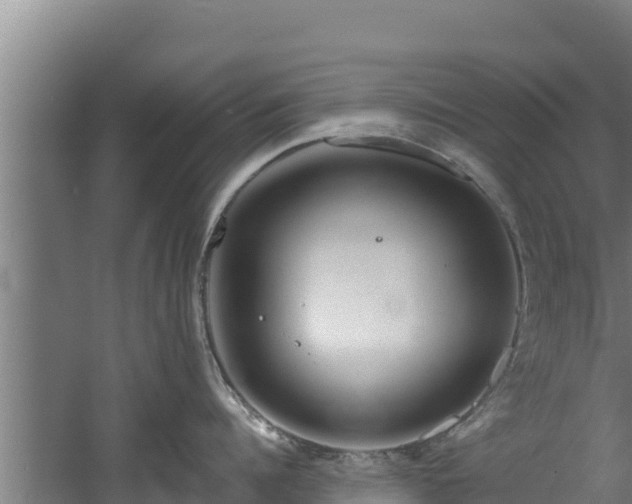 X0000060580960200511071042