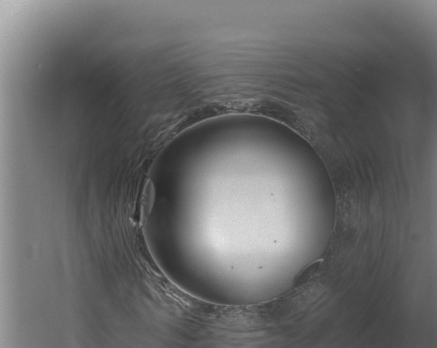 X0000060580962200511071041