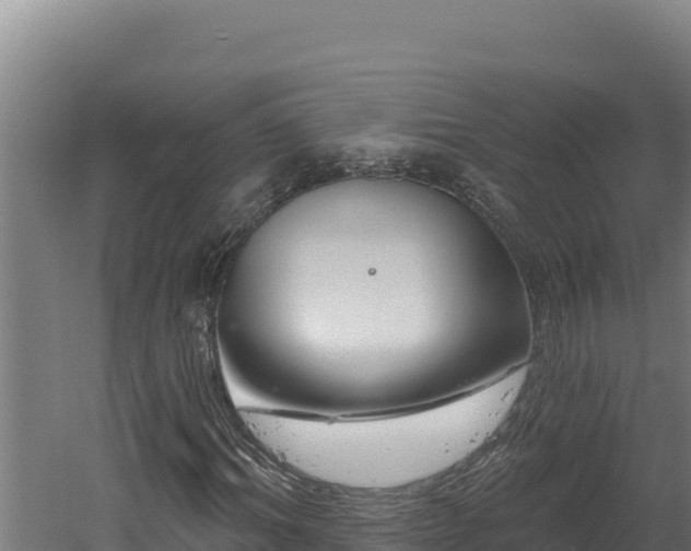 X0000060580964200511071041