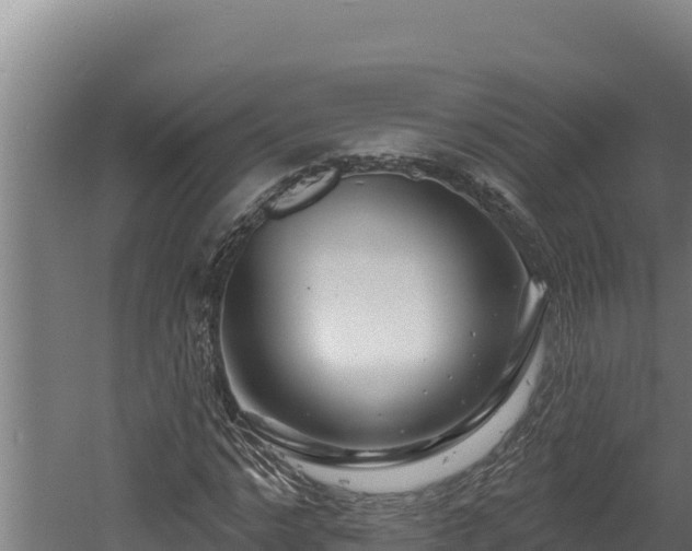 X0000060580968200511071041