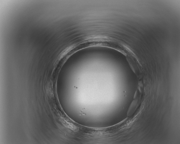 X0000060580970200511071041