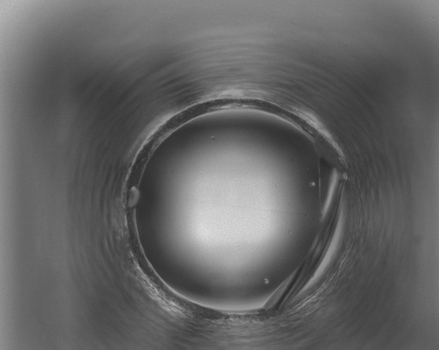 X0000060580972200511071041