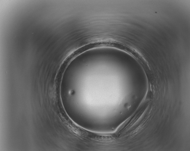 X0000060580975200511071041