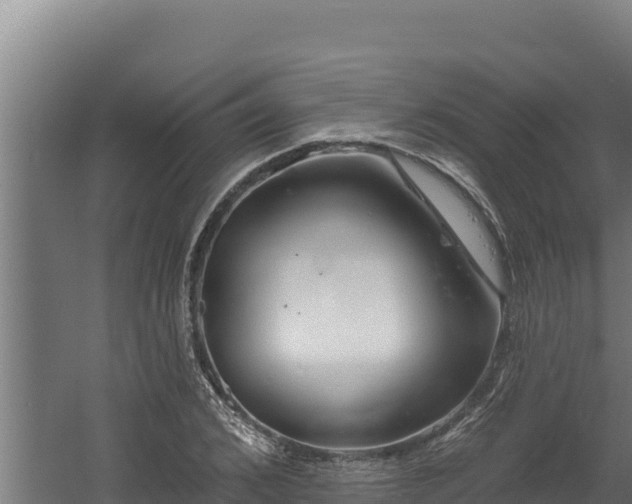 X0000060580976200511071041