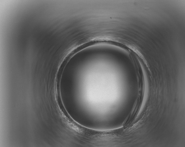 X0000060580984200511071041