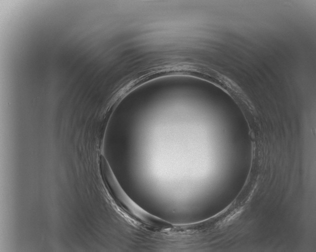 X0000060580985200511071041