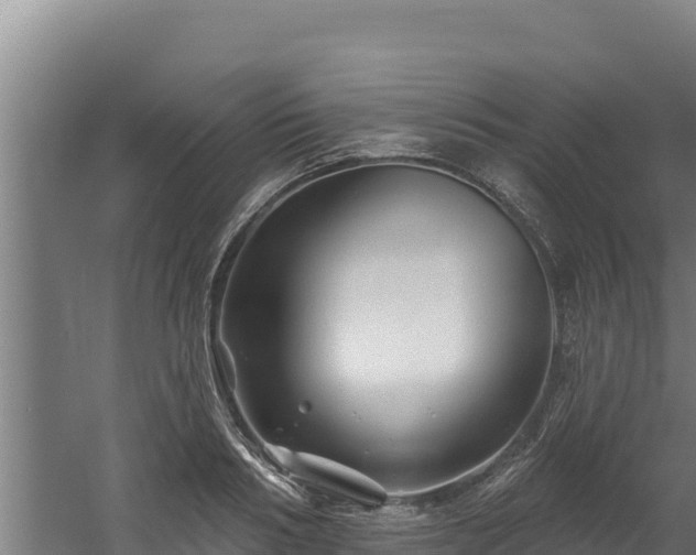 X0000060580986200511071041