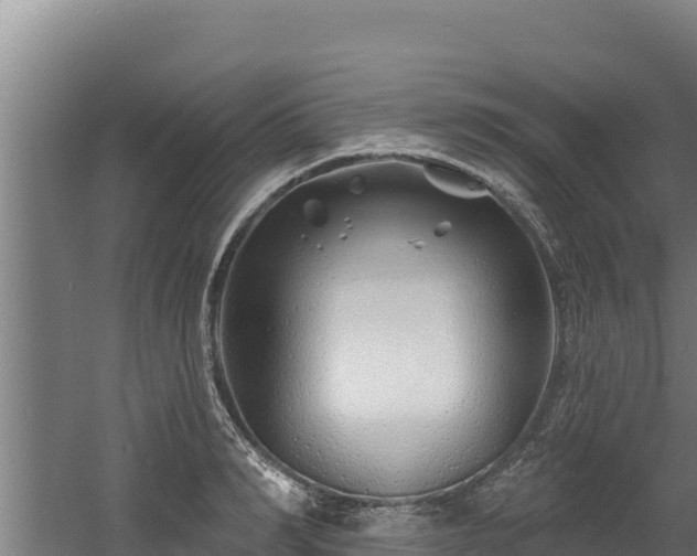 X0000060580990200511071041