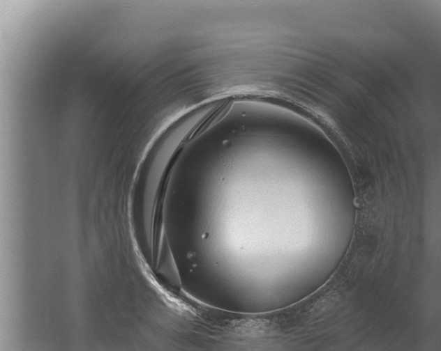 X0000060580991200511071041