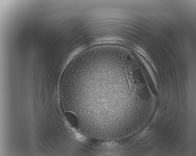 X0000060580994200511071040