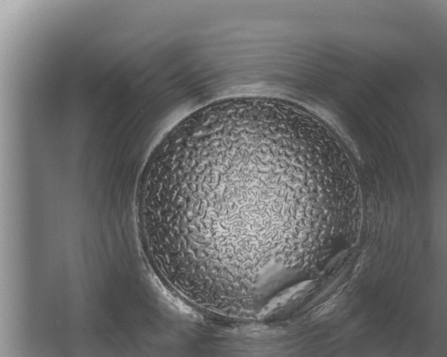 X0000060580998200511071040