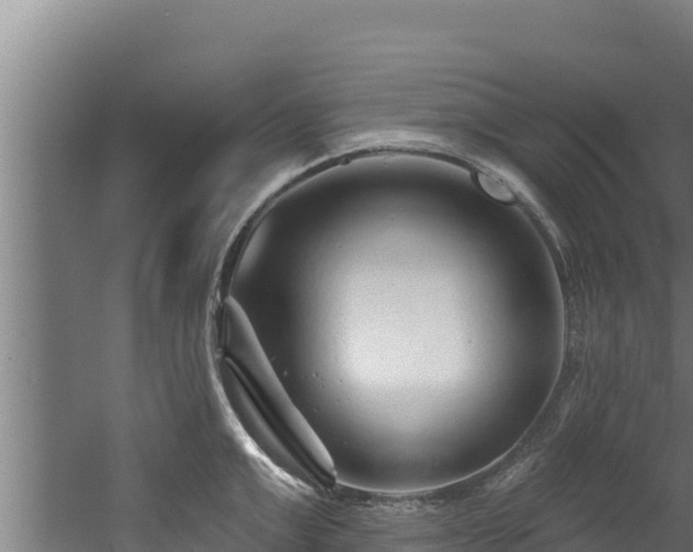 X0000060580999200511071040