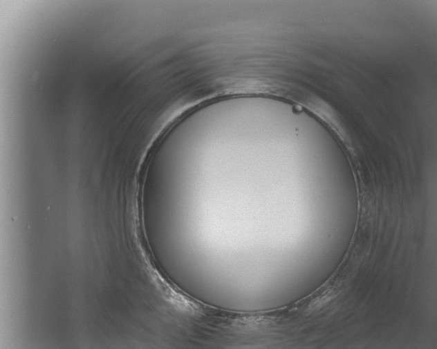 X0000060581000200511071040