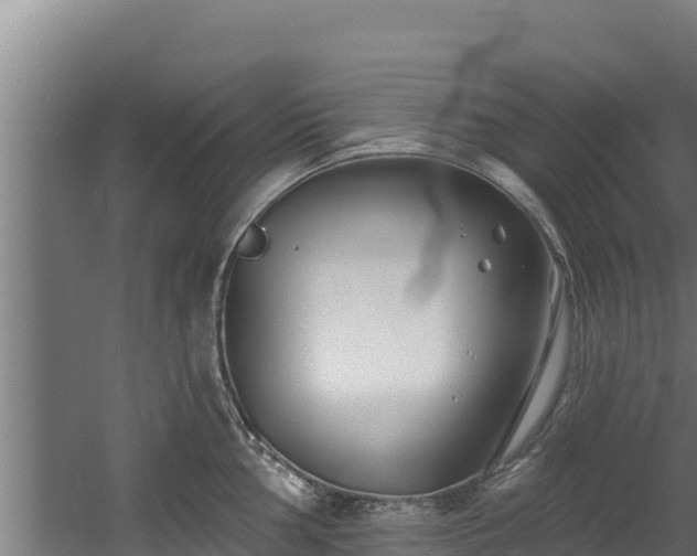 X0000060581002200511071040