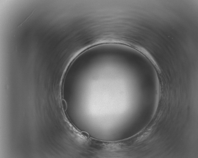 X0000060581004200511071040