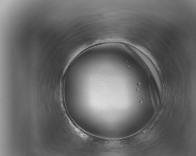 X0000060581006200511071040