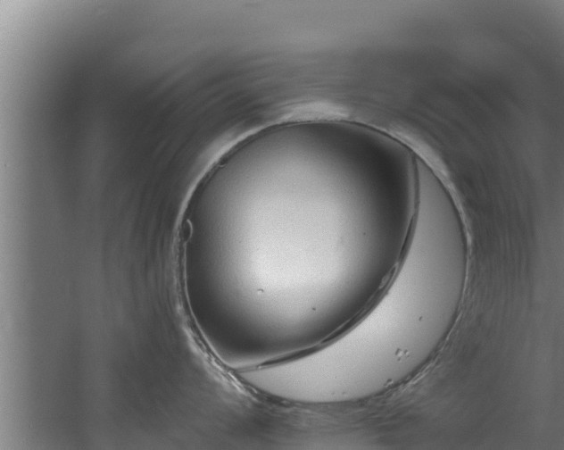 X0000060581008200511071040