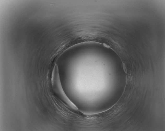 X0000060581012200511071039