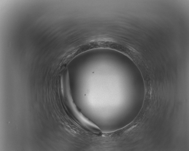 X0000060581014200511071040